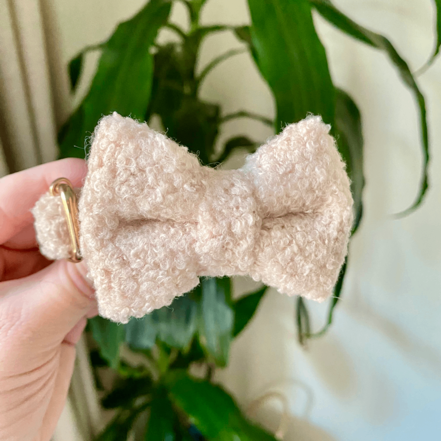 "The Aristopup" Bouclé Bow Tie & Collar Set