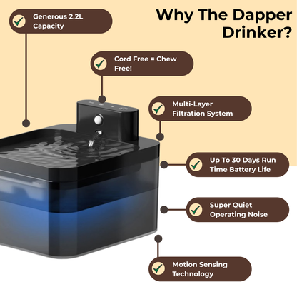 The Dapper Drinker