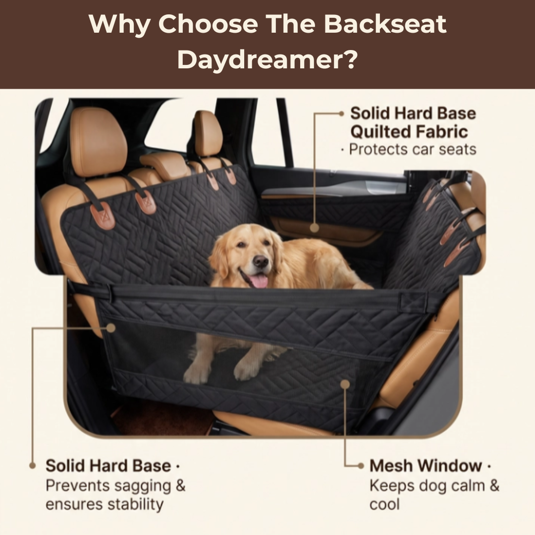 The Backseat Daydreamer