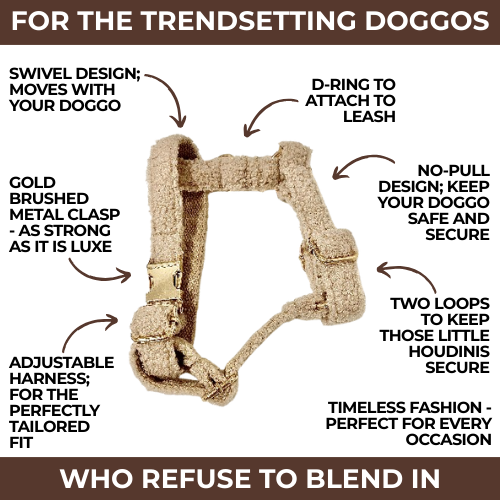 "The Aristopup" Bouclé Harness
