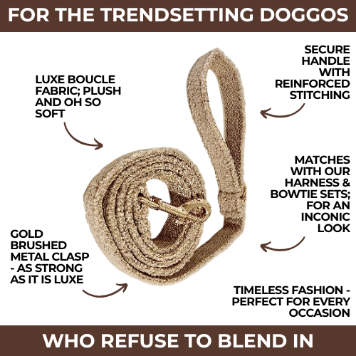 "The Aristopup" Bouclé Leash