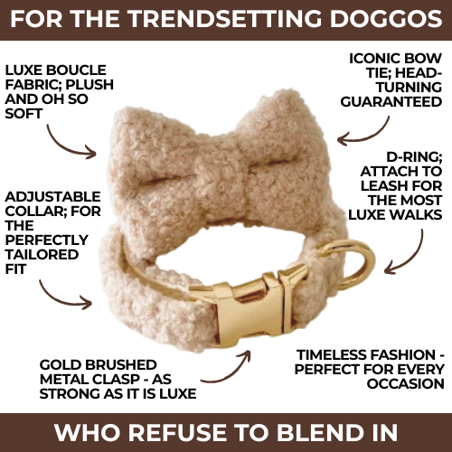 "The Aristopup" Bouclé Bow Tie & Collar Set