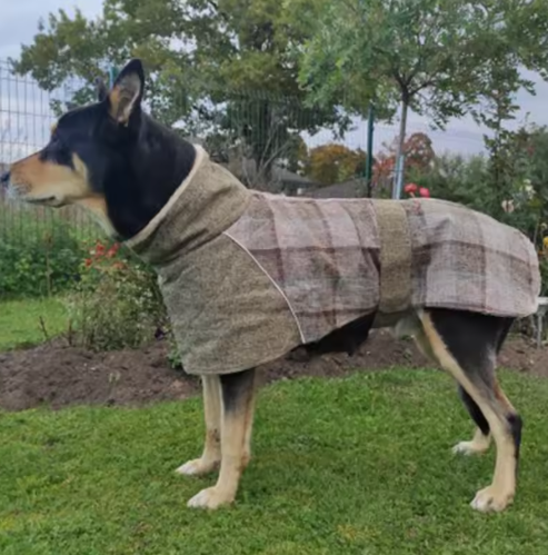 "The Highland Hound" Plaid Pullover