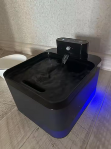 Review photo 1