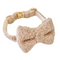 Collar + Bow