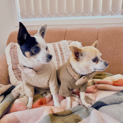 "The Luxe Lounger" Dog Knit Sweater