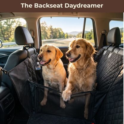 The Backseat Daydreamer