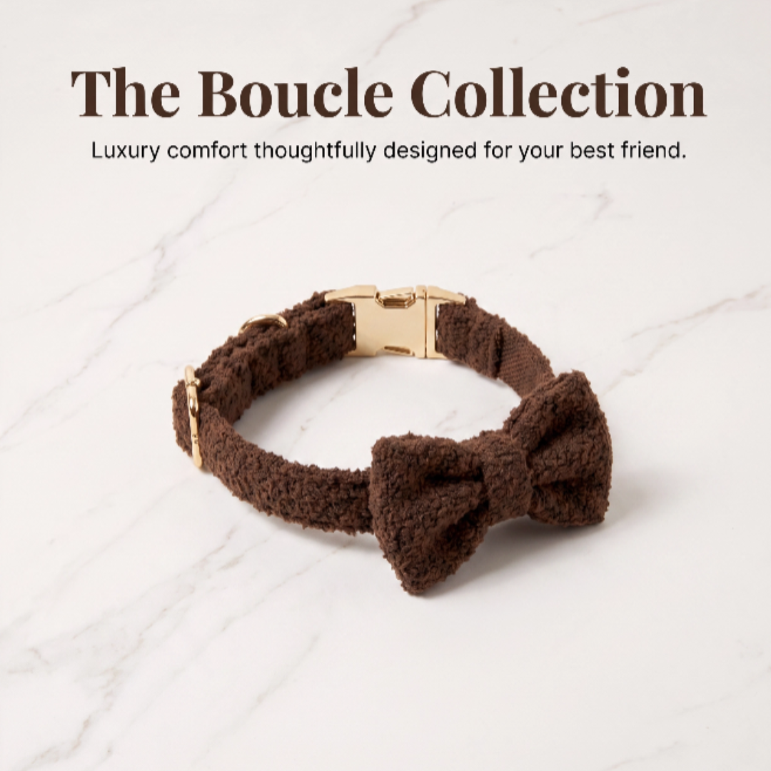 "The Aristopup" Bouclé Bow Tie & Collar Set