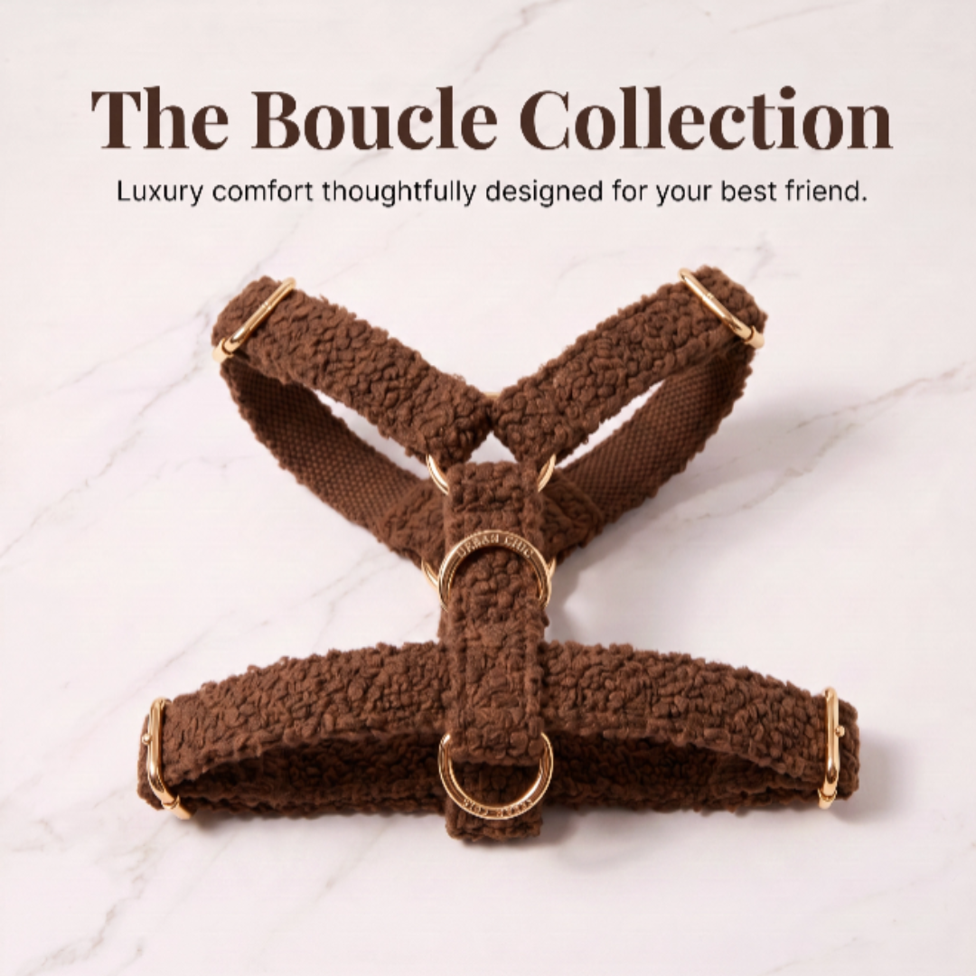 "The Aristopup" Bouclé Harness