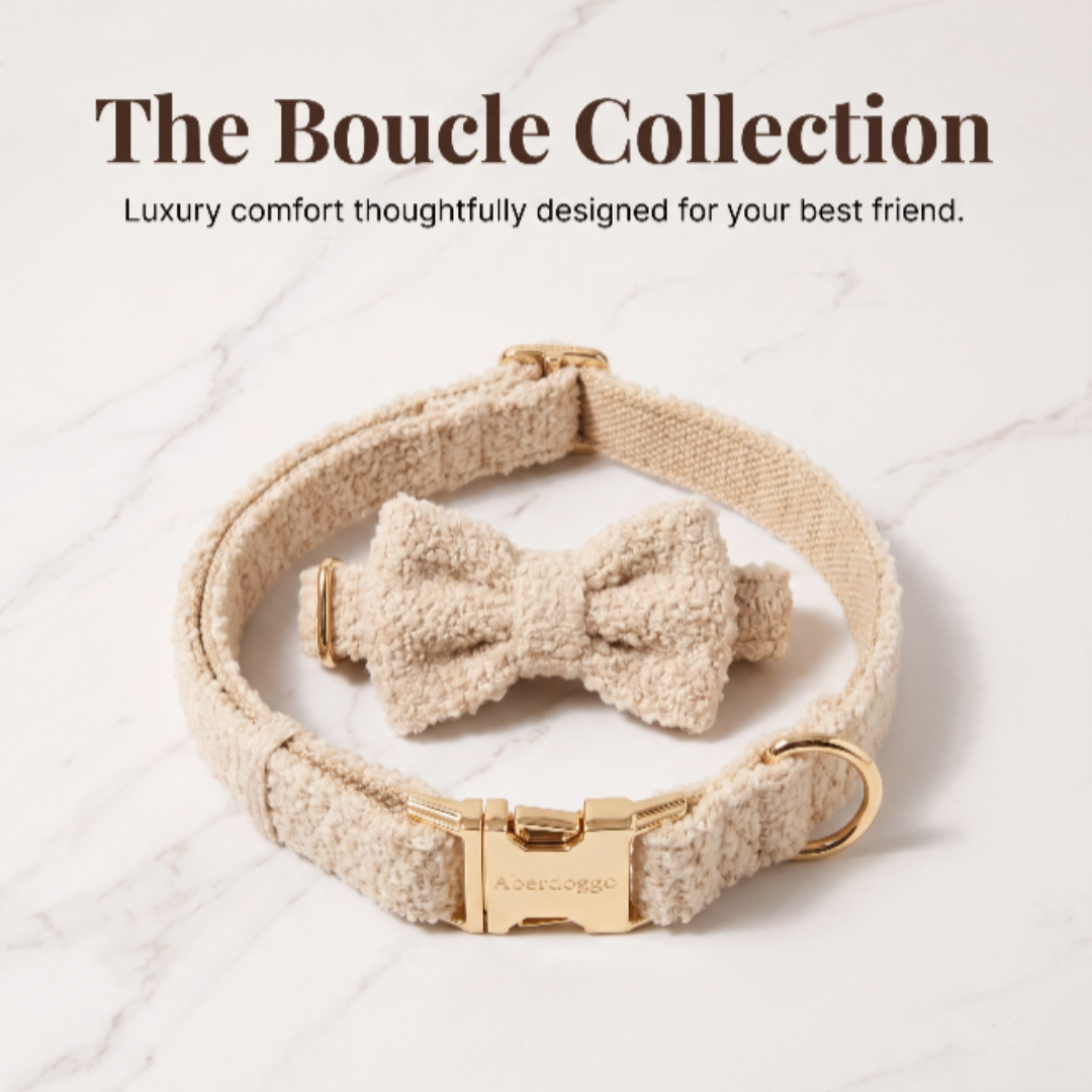 "The Aristopup" Bouclé Bow Tie & Collar Set