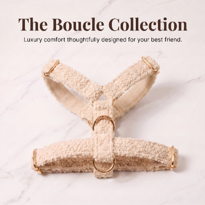 "The Aristopup" Bouclé Harness