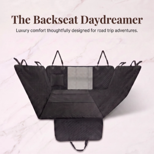 The Backseat Daydreamer