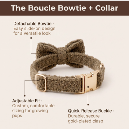 "The Aristopup" Bouclé  Harness Set