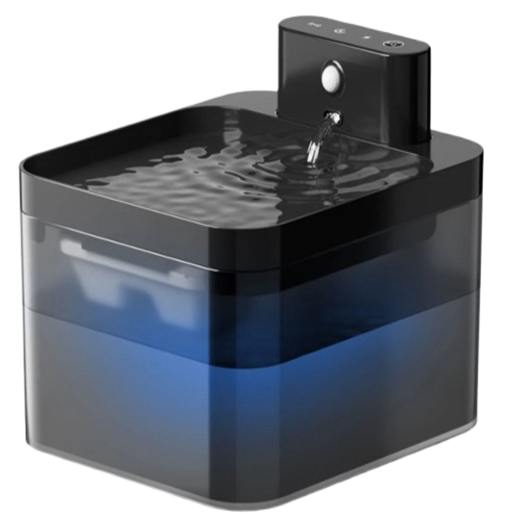 Water Fountain